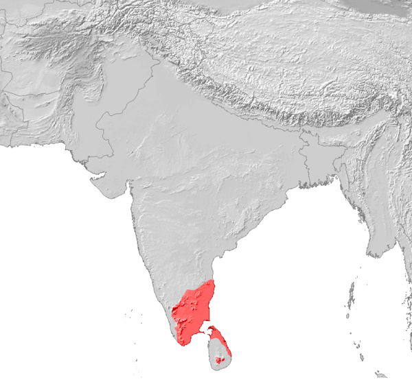Karte Siedlungsgebiet Tamilen_600px-Tamil_Verbreitung Karte Siedlungsgebiet Tamilen_600px-Tamil_Verbreitung